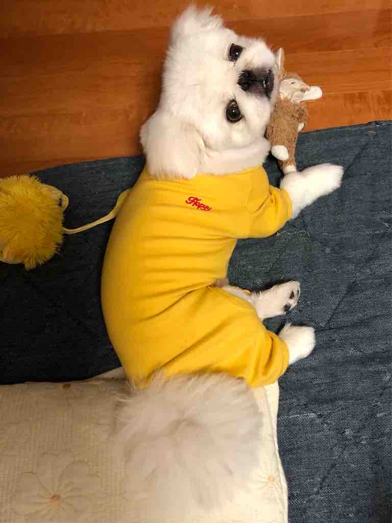 ロンパース今度は魚肉ソーセージ色 Pikopikochobiのblog