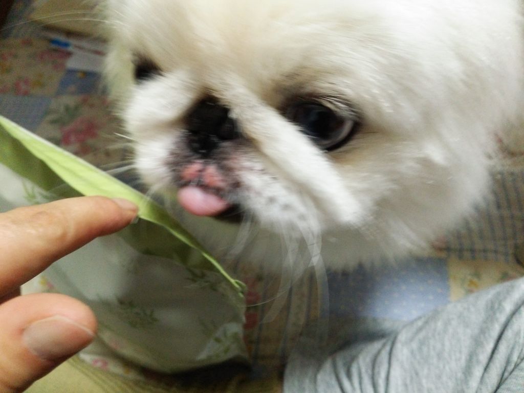 ぼくの たらこ唇 病院へgo Pikopikochobiのblog