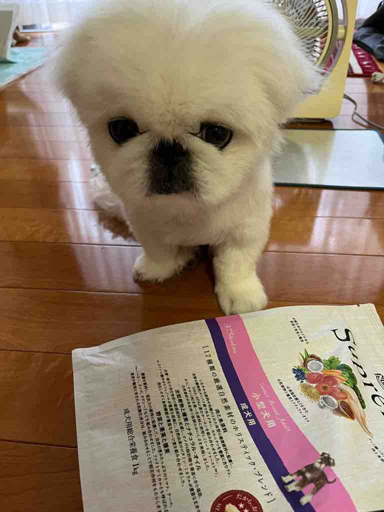 後ずさり Pikopikochobiのblog