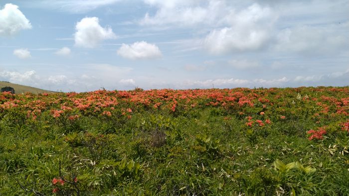 DSC_20230620_0009