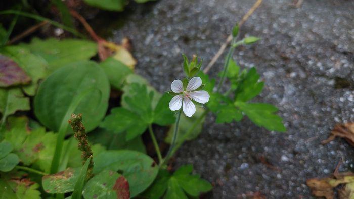 IMG_20230825_140554-s