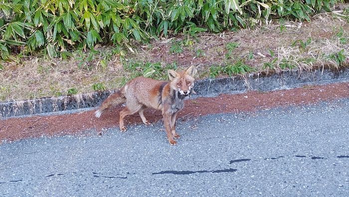 IMG_20190510_175836-s