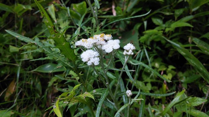 IMG_20230825_140720-1