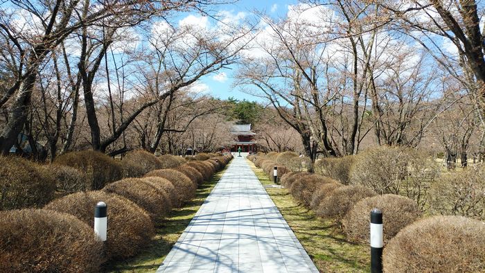 IMG_20220419_000002-s