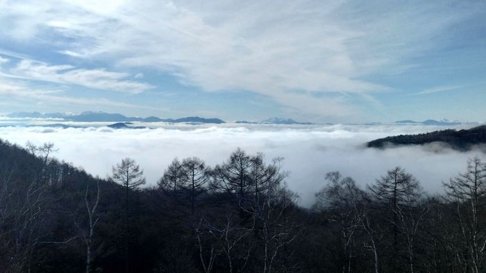 IMG_20240119_00001-1-s