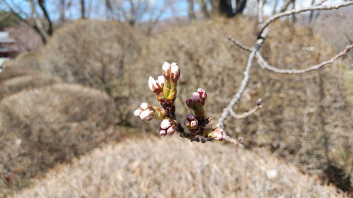 IMG_20220419_000003-s