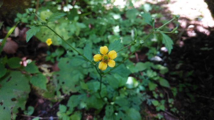 IMG_20210725_115140-s