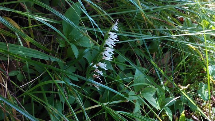 IMG_20230903_151905-1-s