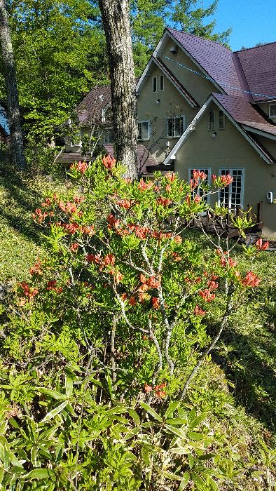 IMG_20190613_160745-s