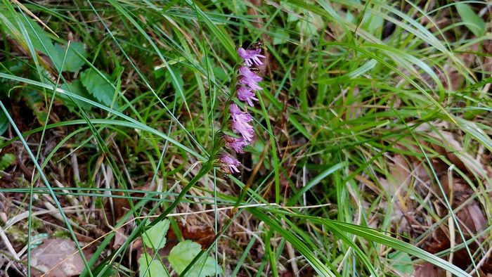 IMG_20230903_151846-1-s