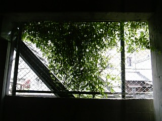 さがさないで