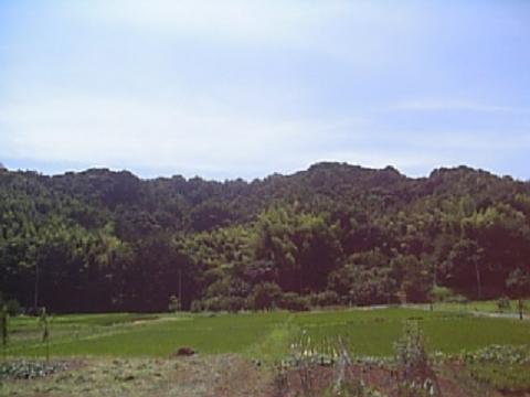 実家