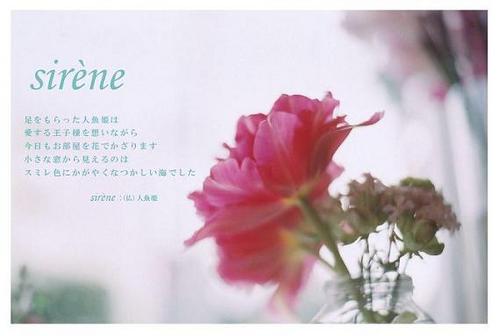 sirene