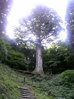 3a1b4559.jpg