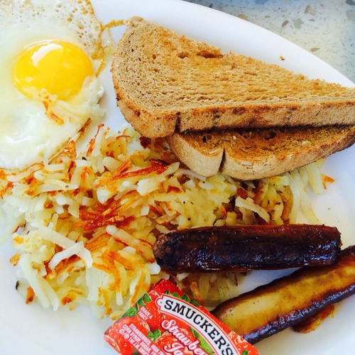 オヒサシブリデス