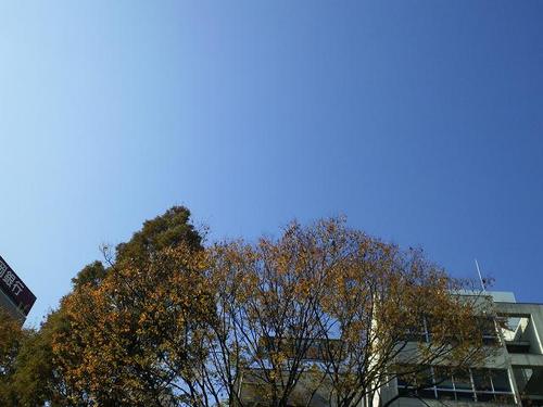 遅刻の言い訳