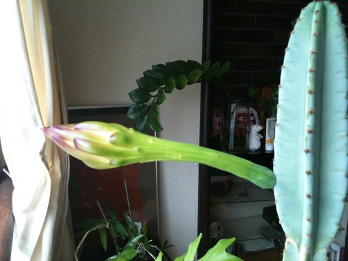 blog 010