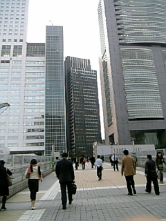 83f8041b.jpg