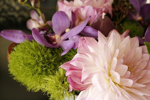 blog 039