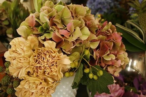 blog 038