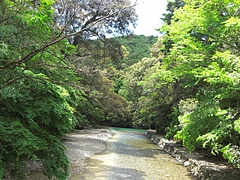 CIMG0507