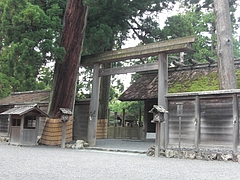 CIMG0350