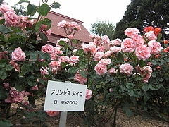 CIMG0457