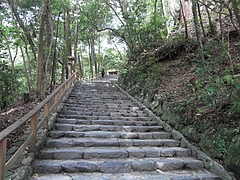 CIMG0353