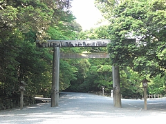 CIMG0433