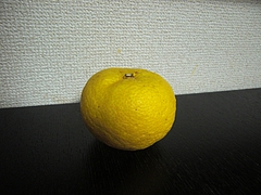 CIMG1244