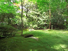 CIMG0735
