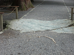CIMG0351