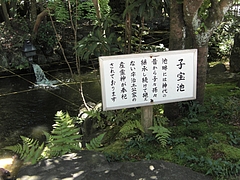 CIMG0569