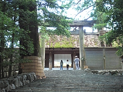 CIMG0442