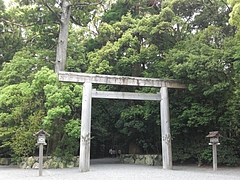 CIMG0340