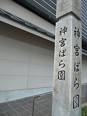 CIMG0410