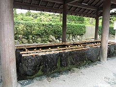 CIMG0339