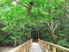 CIMG0504