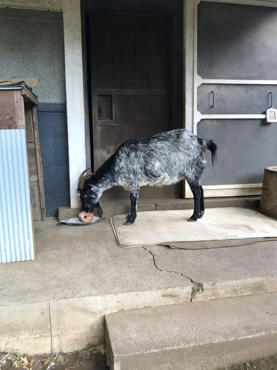 岩塩1