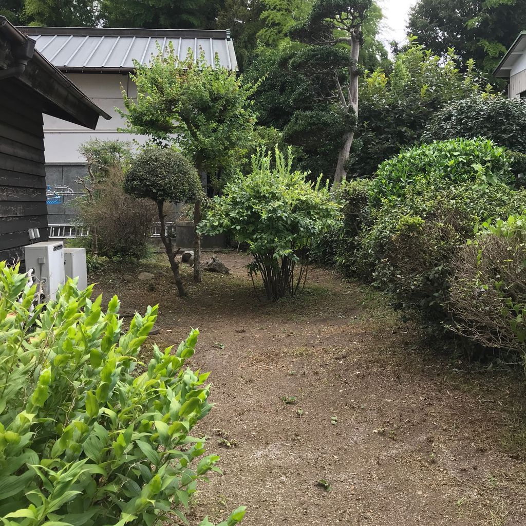 庭4