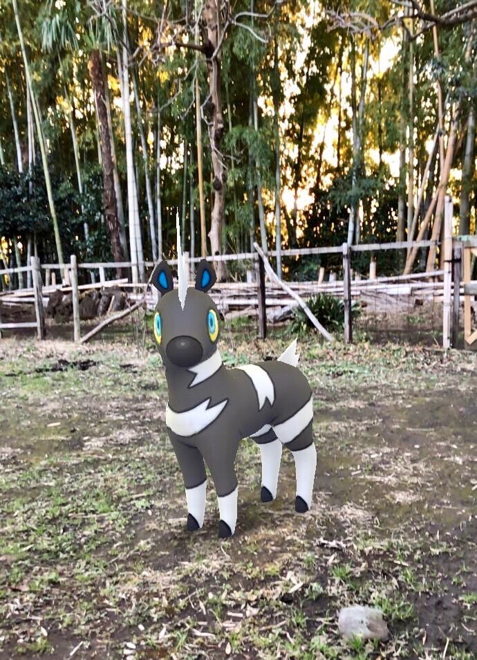 しまま