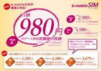 ionsim