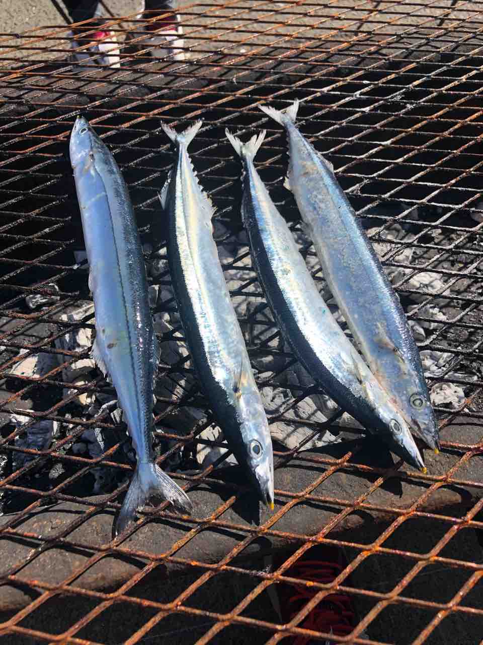 Pinacoの転妻ライフ