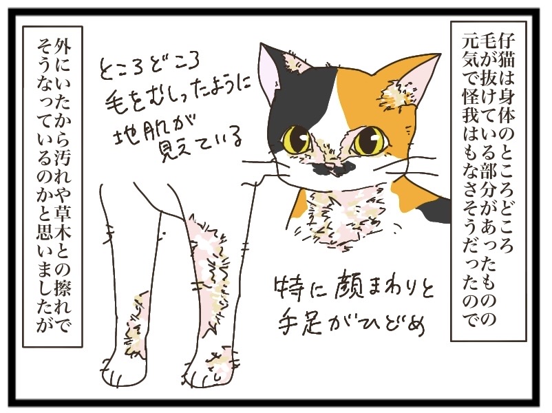 NNNからの使者④【NNNにロックオンされています】 : 猫の手貸して