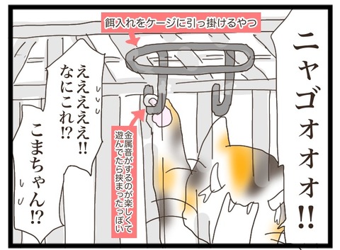 53BC1BC2-DC96-4DF5-95EC-497B1B9D84F4