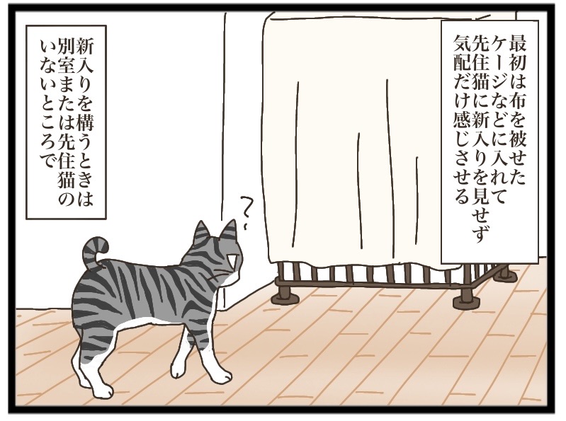 NNNからの使者⑤【NNNにロックオンされています】 : 猫の手貸して