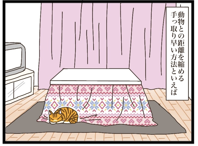 茶トラの人馴れ⑤【NNNにロックオンされています】 : 猫の手貸して