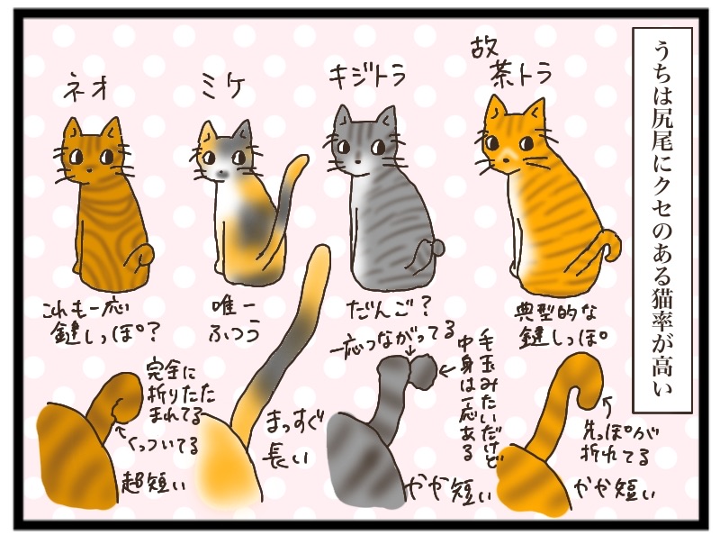 しっぽいろいろ 猫の手貸して Powered By ライブドアブログ