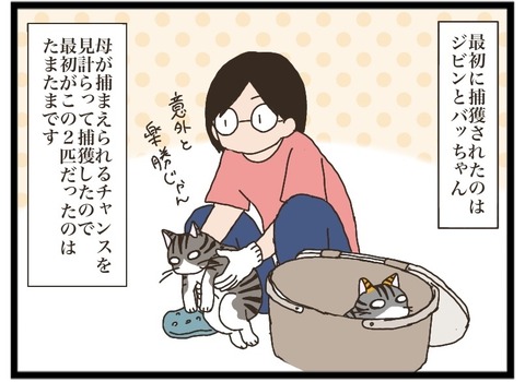 次のターゲット⑥【NNNにロックオンされています】 : 猫の手貸して