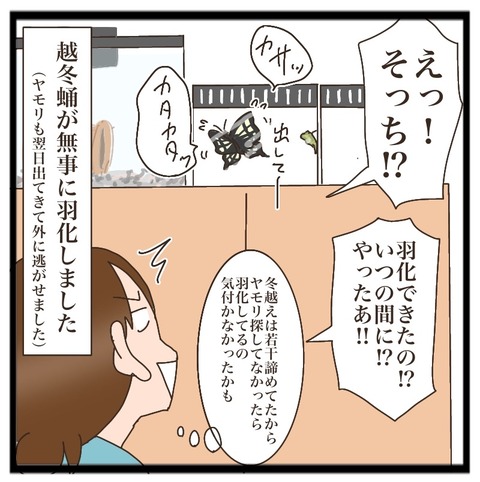 3141FE8C-DF46-436F-8DF2-6A01FBB486B0